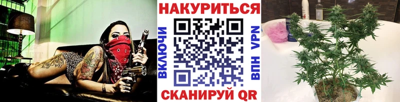 Конопля планчик  Купить где  Алатырь 